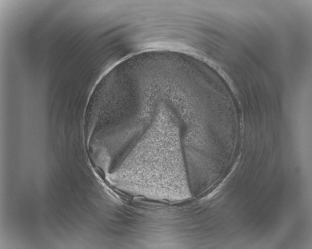 X0000073831529200608311855