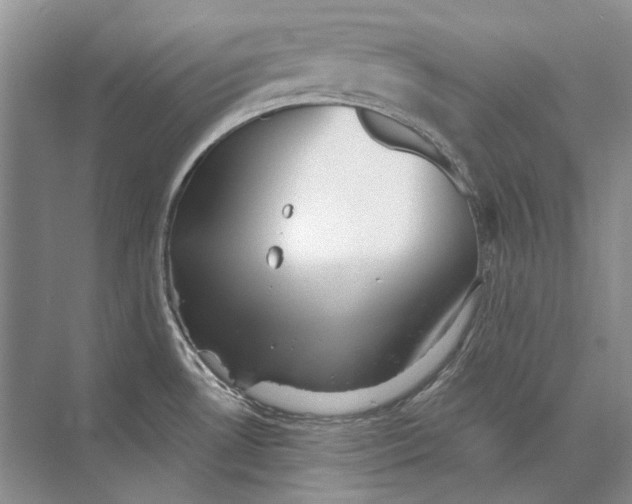 X0000073831530200608311855