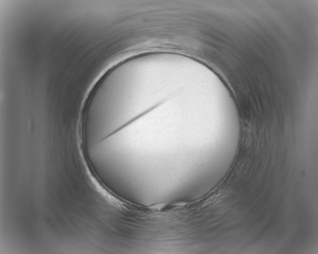 X0000073831531200608311855