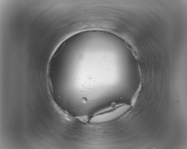 X0000073831532200608311855