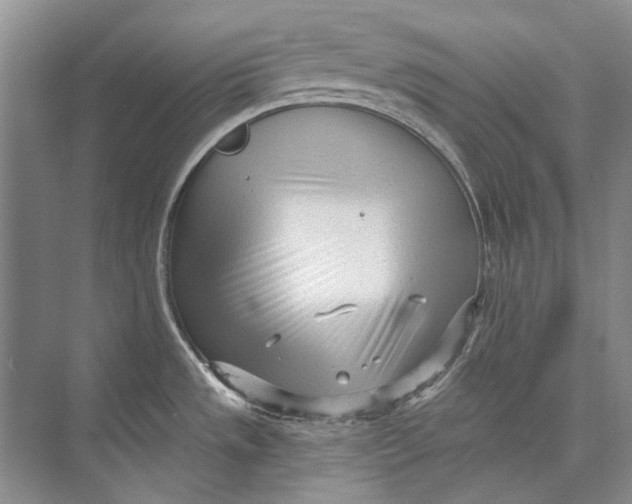 X0000073831533200608311855