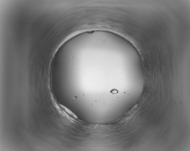 X0000073831534200608311855