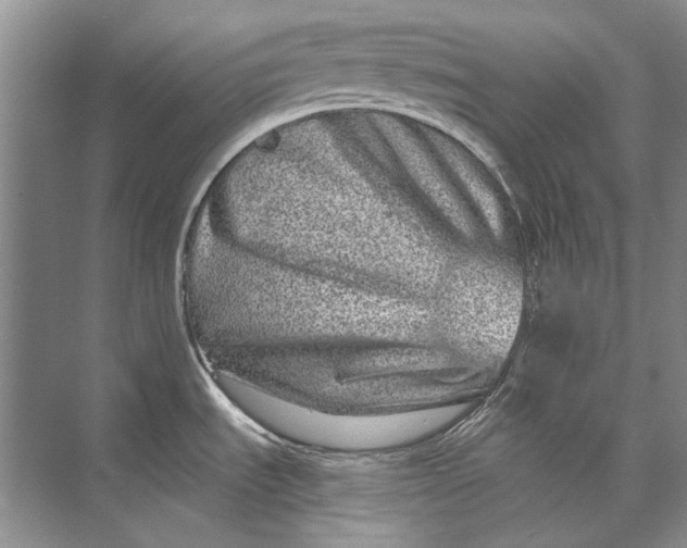 X0000073831535200608311855