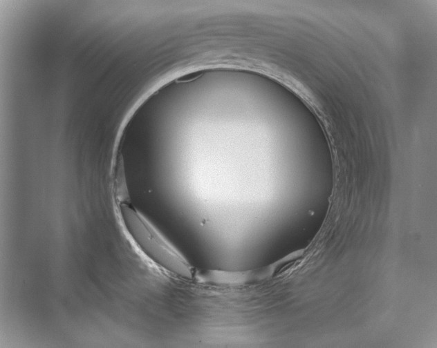 X0000073831536200608311855