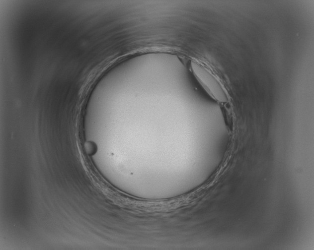 X0000073830001200609071527