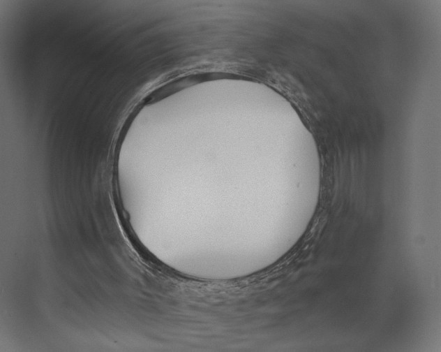 X0000073830003200609071527