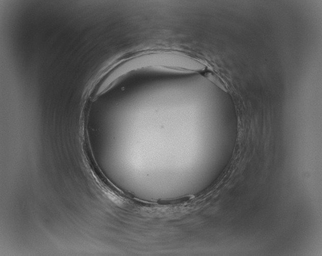 X0000073830005200609071527