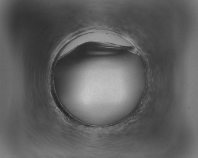 X0000073830007200609071527