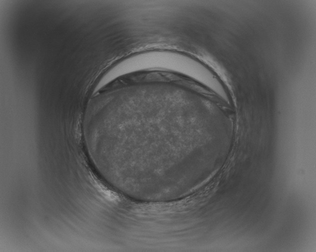 X0000073830009200609071527