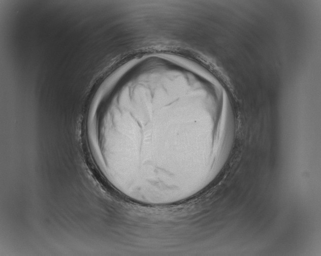 X0000073830010200609071527