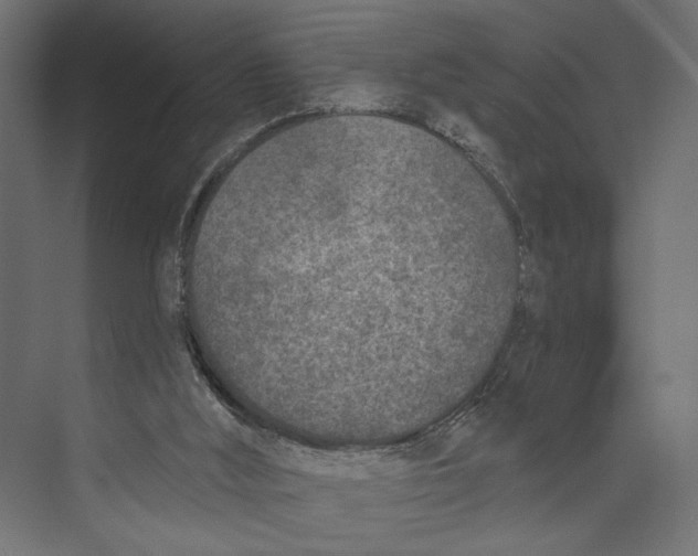 X0000073830012200609071527