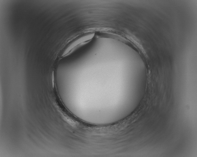 X0000073830013200609071527