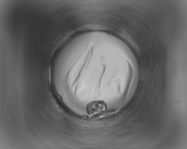 X0000073830014200609071527