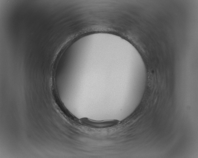 X0000073830015200609071527