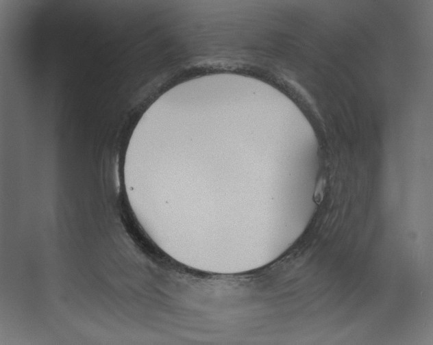 X0000073830020200609071527