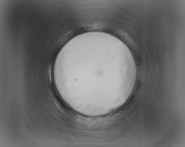 X0000073830022200609071527