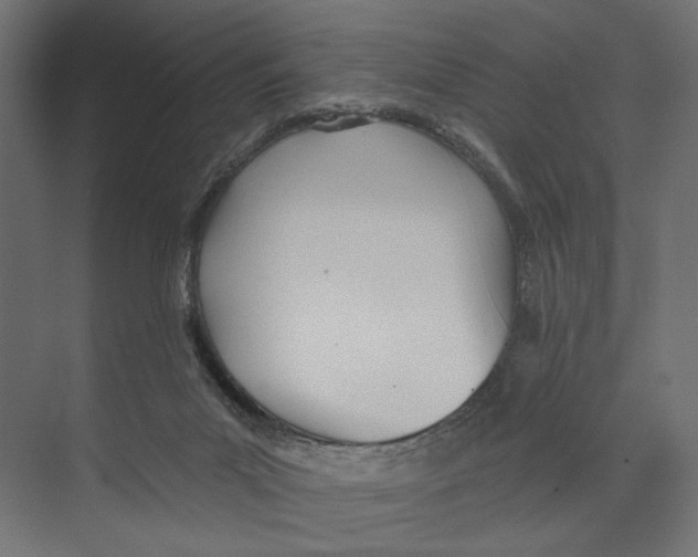 X0000073830023200609071527