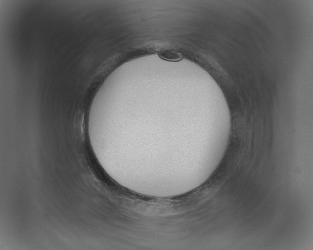 X0000073830024200609071526