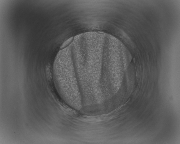 X0000073830029200609071526