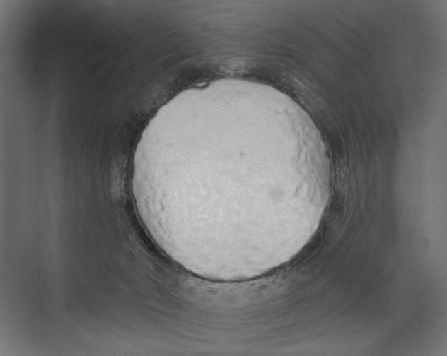 X0000073830030200609071526