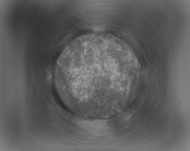 X0000073830032200609071526