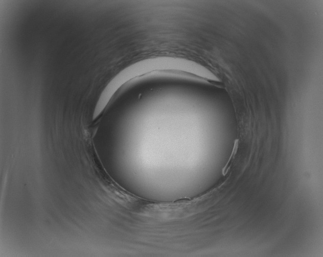 X0000073830033200609071526