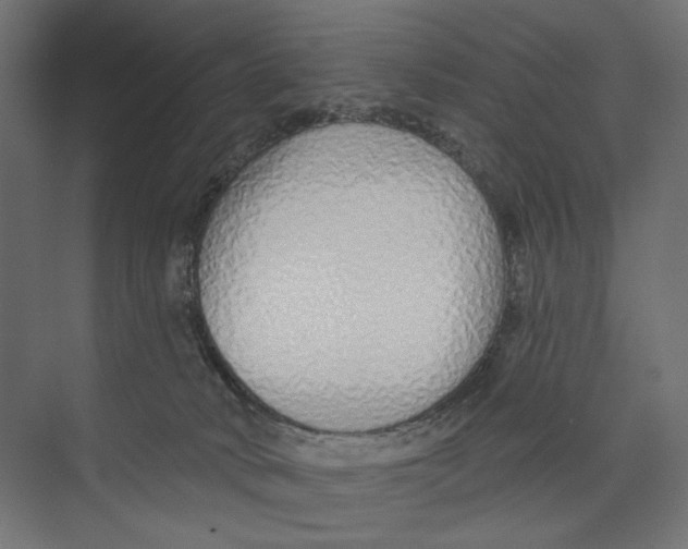 X0000073830034200609071526