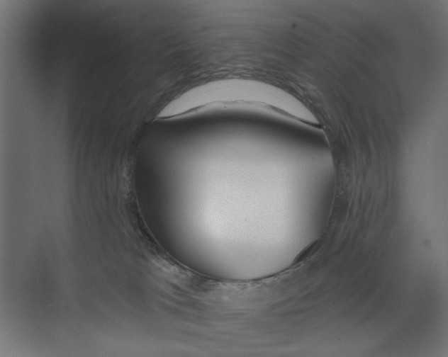 X0000073830037200609071526