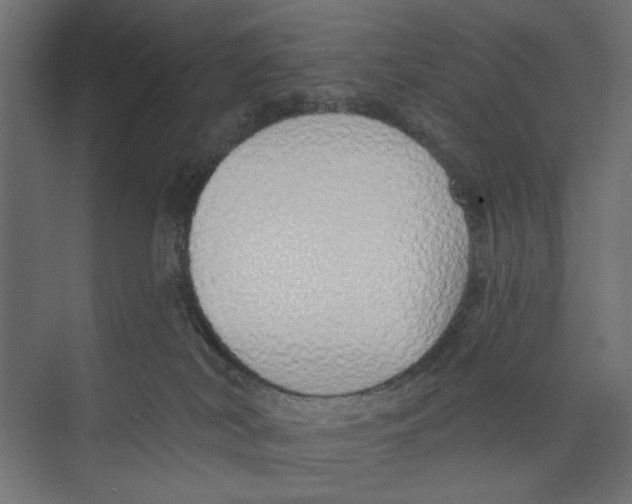 X0000073830038200609071526