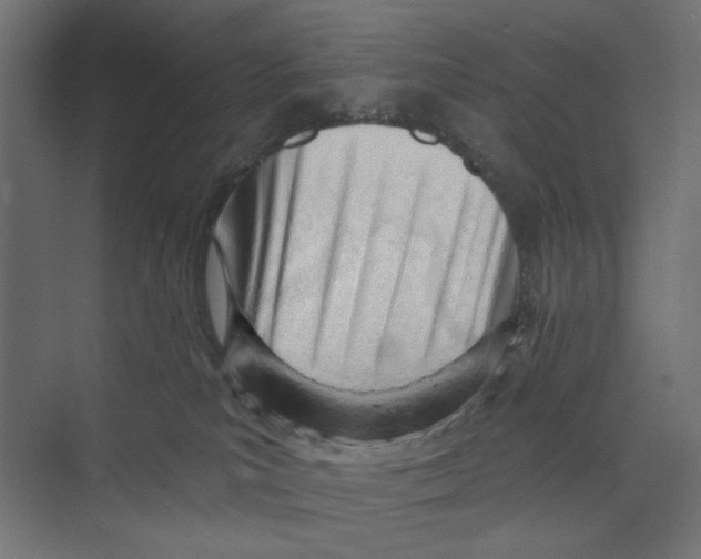 X0000073830039200609071526