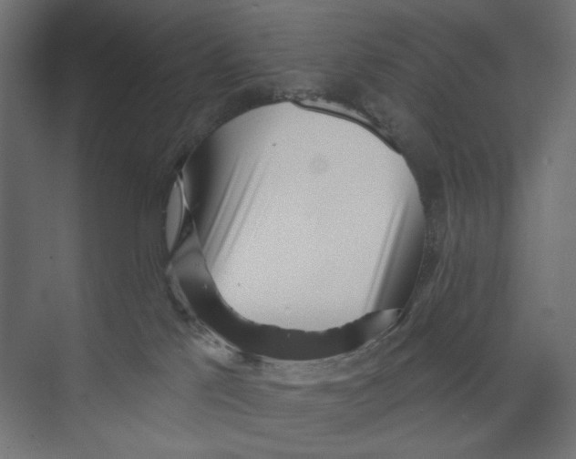 X0000073830041200609071526