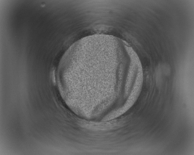 X0000073830042200609071526