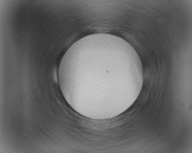 X0000073830046200609071526