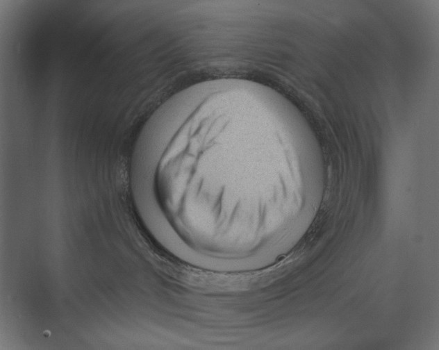 X0000073830048200609071526