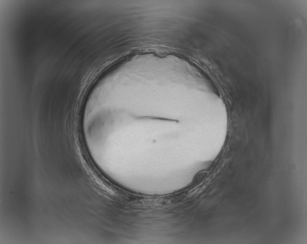 X0000073830049200609071525