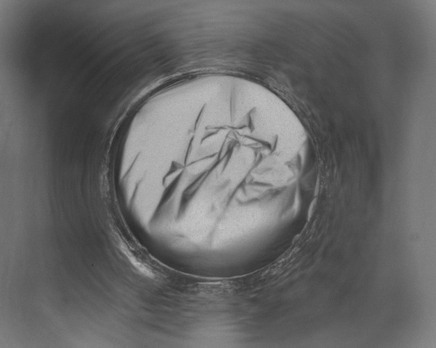 X0000073830050200609071525