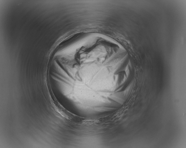 X0000073830051200609071525