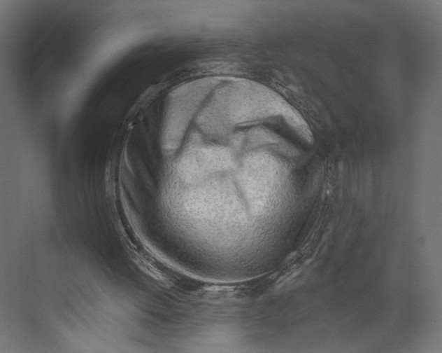 X0000073830052200609071525