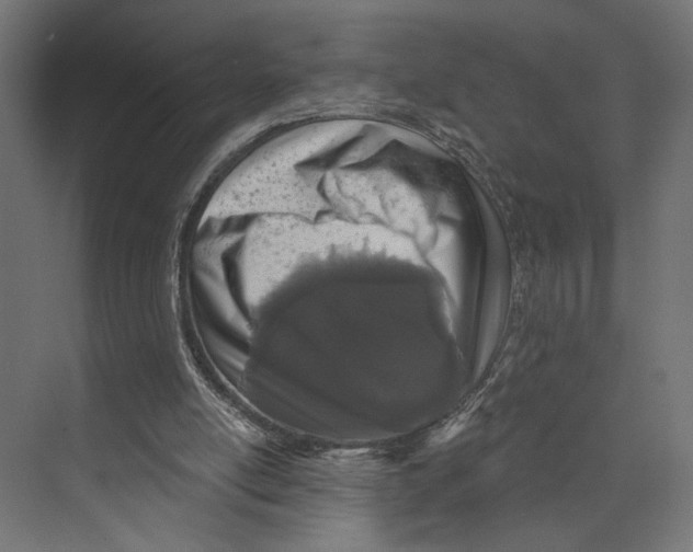 X0000073830054200609071525