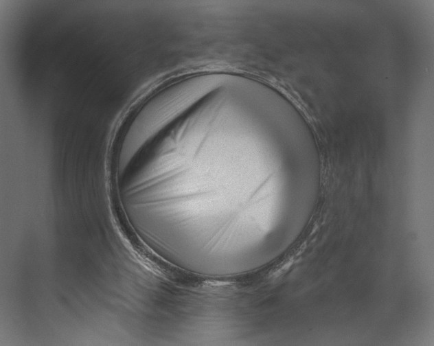 X0000073830055200609071525