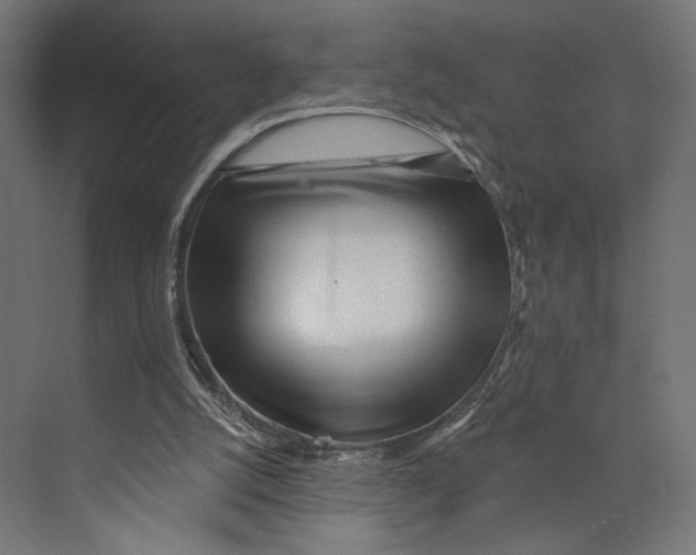 X0000073830056200609071525