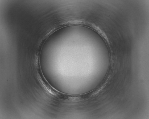 X0000073830057200609071525