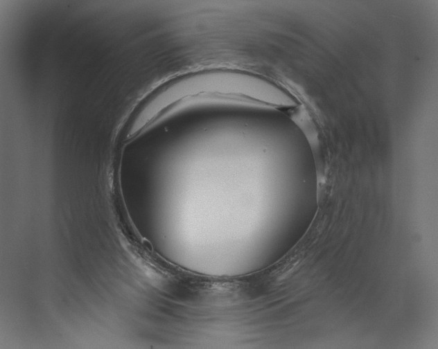 X0000073830060200609071525