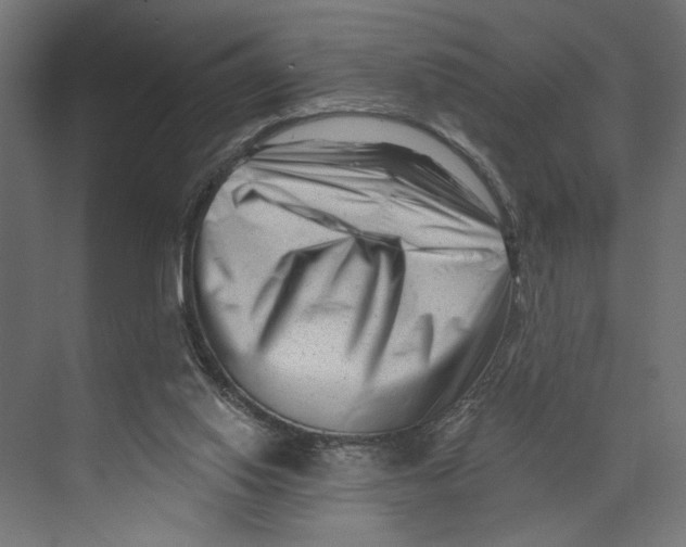 X0000073830062200609071525