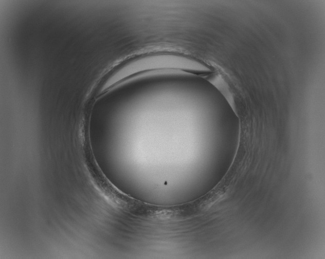 X0000073830064200609071526