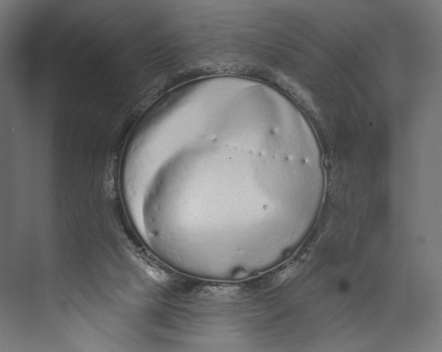 X0000073830065200609071526