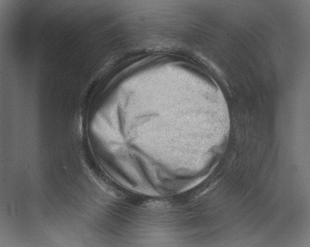 X0000073830067200609071526