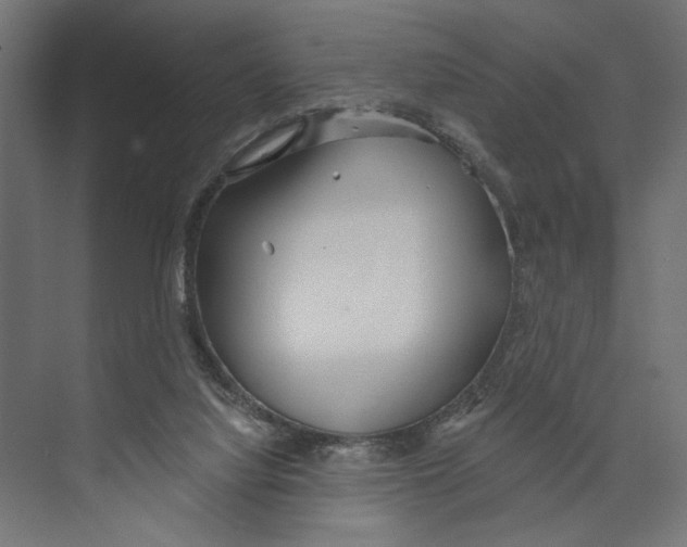 X0000073830068200609071526