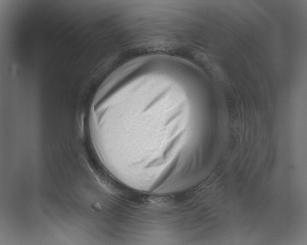 X0000073830070200609071526