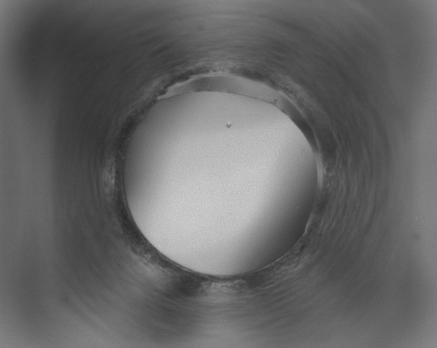 X0000073830072200609071526